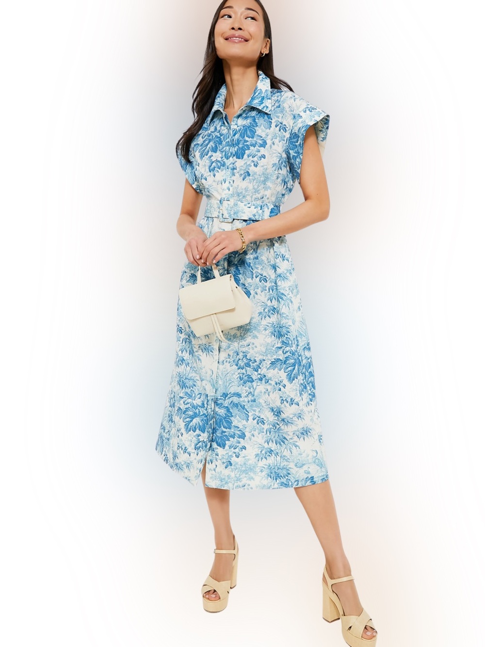 Tuckernuck Misty Blue Toile Chloe Dress